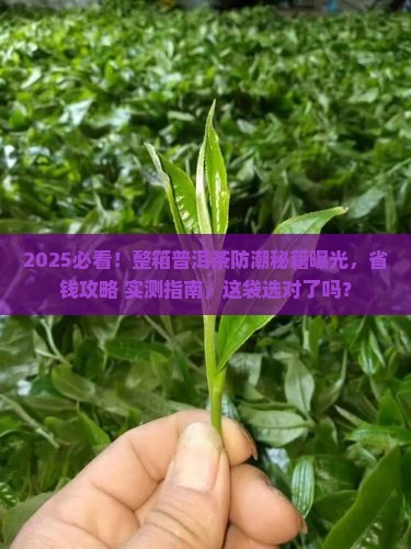 整箱的普洱茶用什么袋防潮 整箱的普洱茶用什么袋防潮