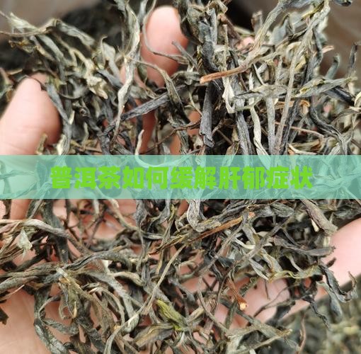 普洱茶可以治疗肝郁