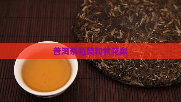 普洱茶藏獒和黄花梨