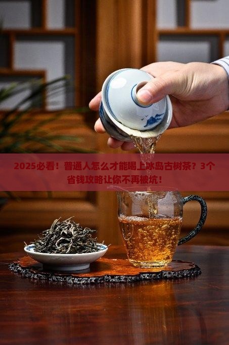为何冰岛古树茶贵如黄金