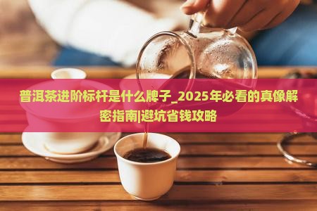 普洱茶进阶标杆是什么牌子