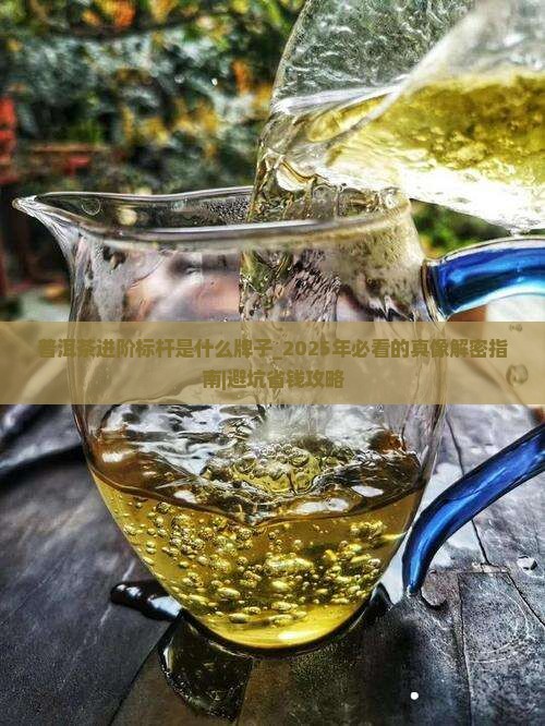 普洱茶进阶标杆是什么牌子