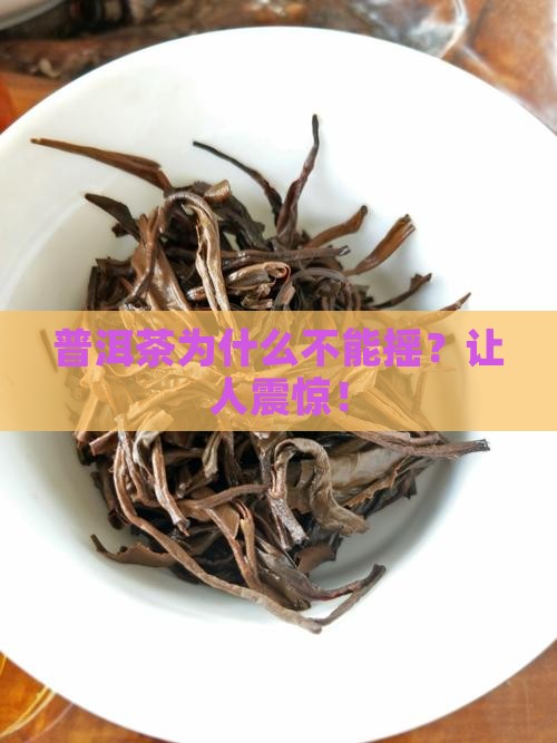 普洱茶为什么不能摇
