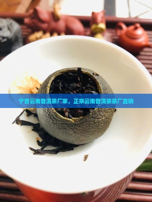 宁晋普洱茶工厂