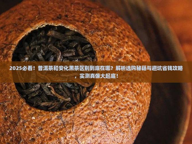 普洱茶和安化黑茶区别