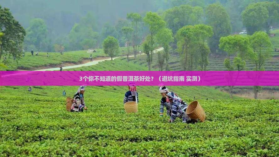 假普洱茶有什么好处