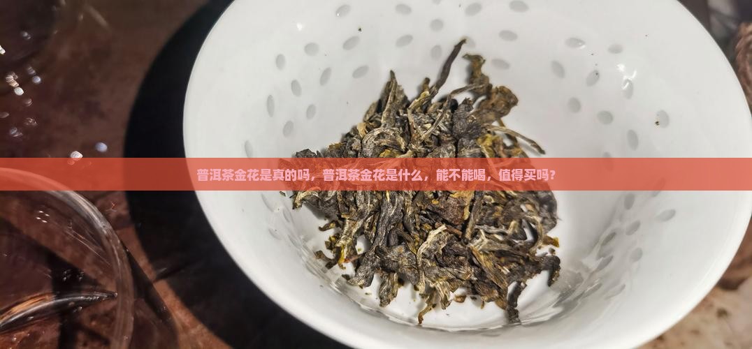 普洱茶金花是真的吗