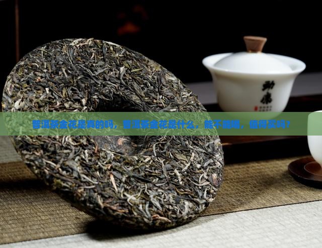 普洱茶金花是真的吗