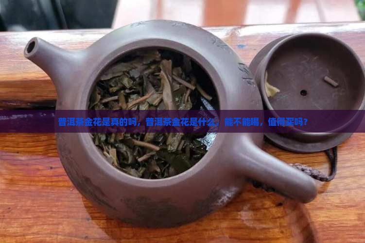 普洱茶金花是真的吗