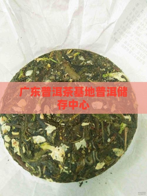 广东储存普洱茶的基地