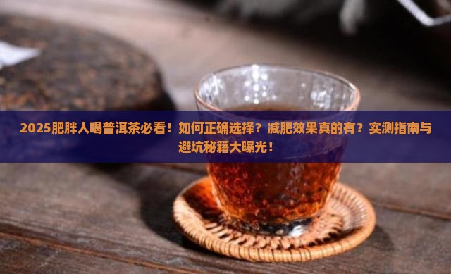 肥胖人喝普洱茶