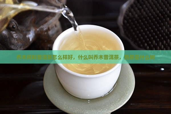 乔木纯料普洱茶