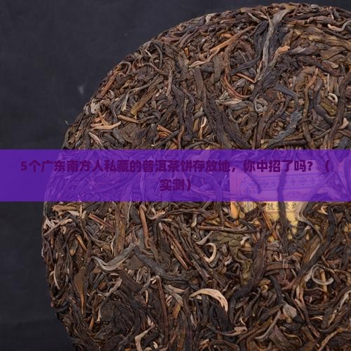 广东南方存放普洱茶饼的地方