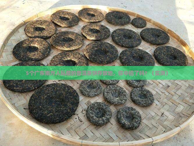 广东南方存放普洱茶饼的地方