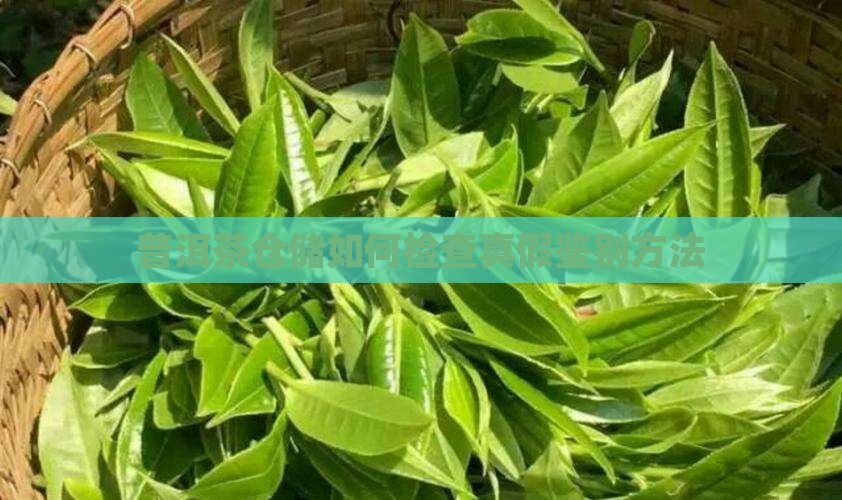 普洱茶仓储如何检查真假