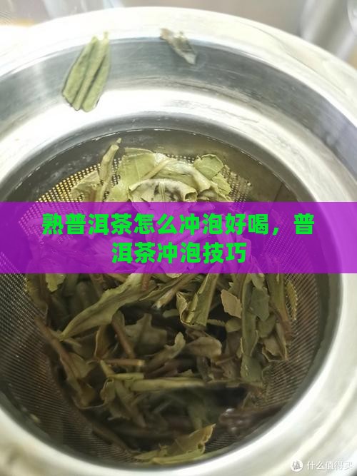 熟普洱茶怎么用才能好喝