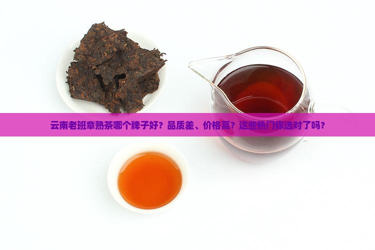 云南老班章熟茶什么牌子好