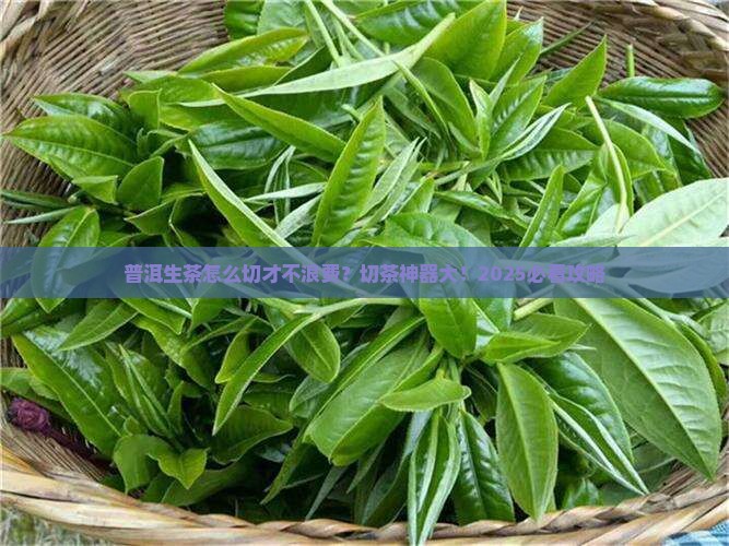 普洱茶生茶用什么切茶好