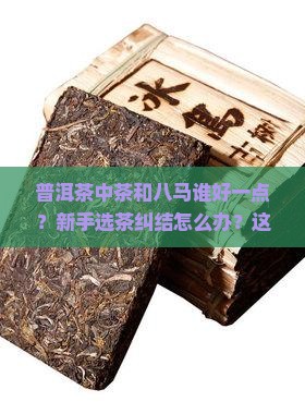 普洱茶中茶和八马谁好一点