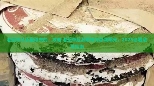 老班章从哪里移去的
