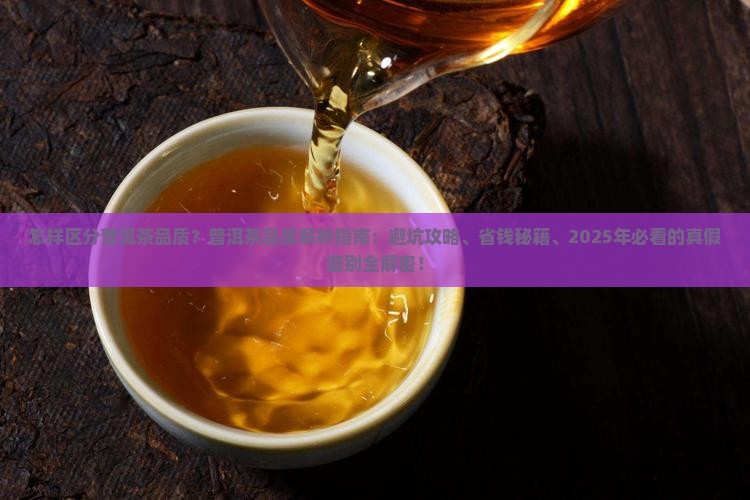怎样区分普洱茶品质