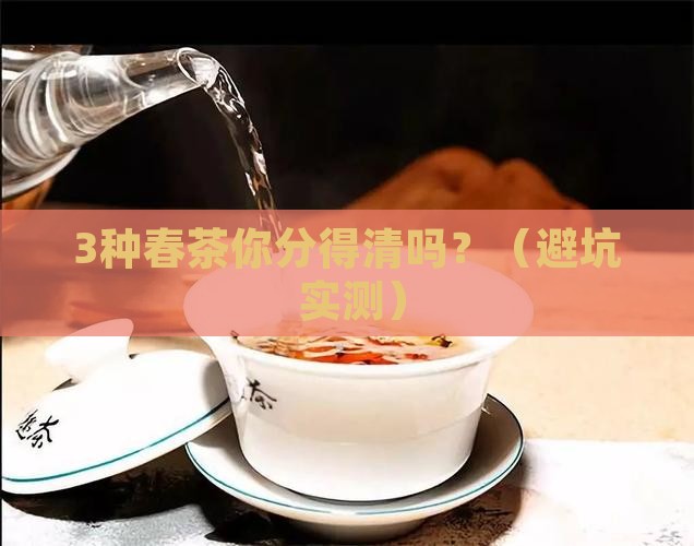 春茶分为哪几种