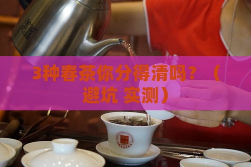 春茶分为哪几种