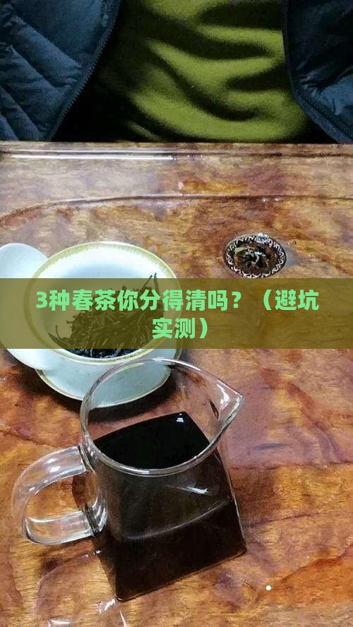 春茶分为哪几种