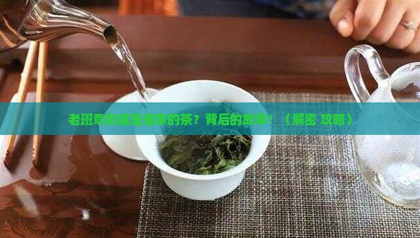 老班章是那个山头的茶