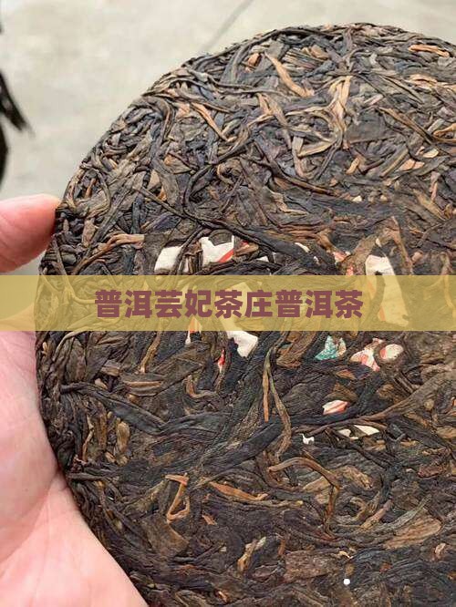 芸妃茶庄普洱茶
