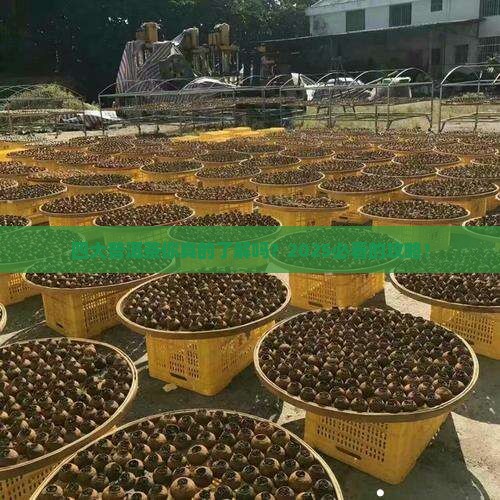 四大普洱茶品牌有哪些名称 四大普洱茶品牌有哪些名称