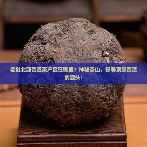 老挝北部普洱茶产区在哪里