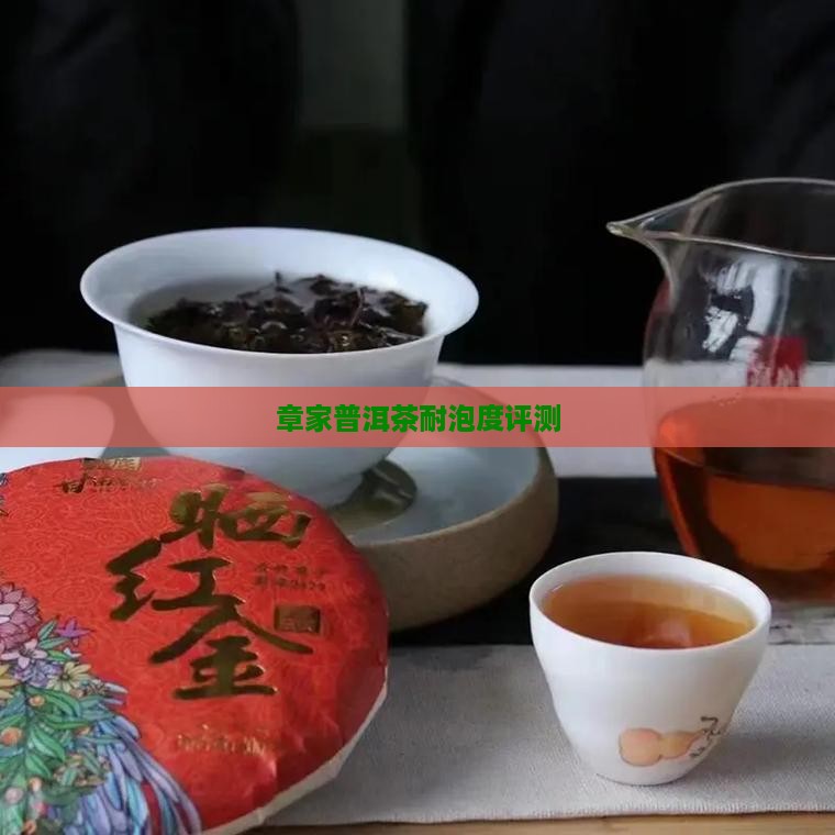 章家三队普洱茶耐泡度