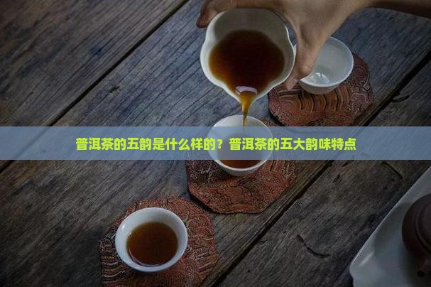 普洱茶的五韵是什么样的