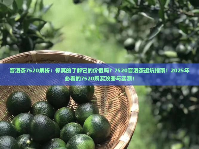 普洱茶7520