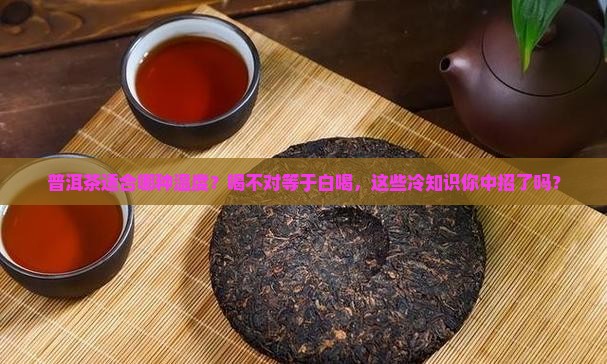 普洱茶适合哪种温度