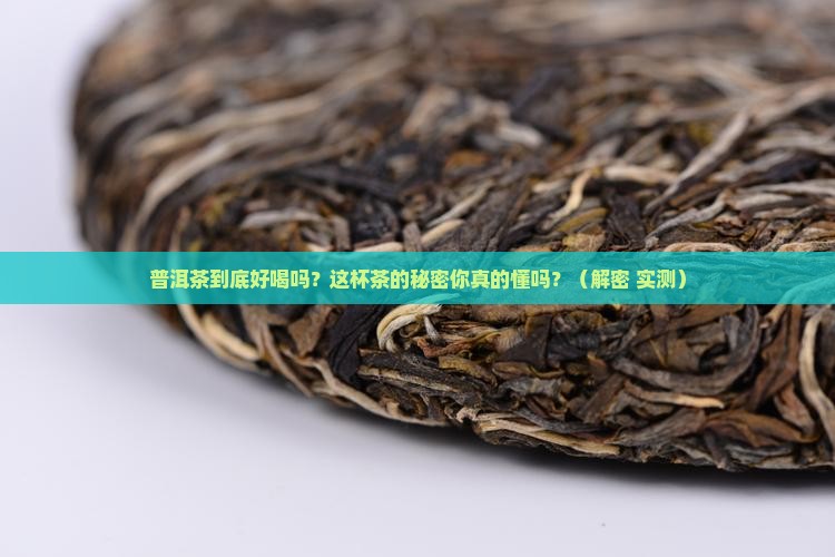 普洱茶的特点和口味