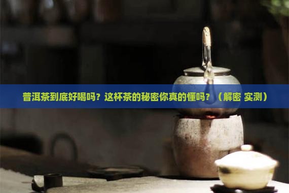 普洱茶的特点和口味