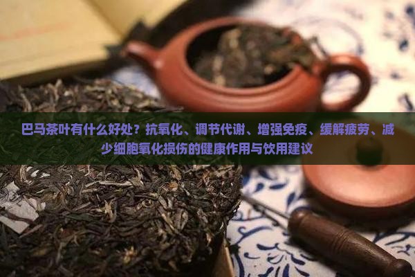 喝巴马茶有什么好处