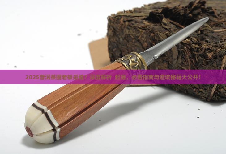 普洱茶圈老板是谁