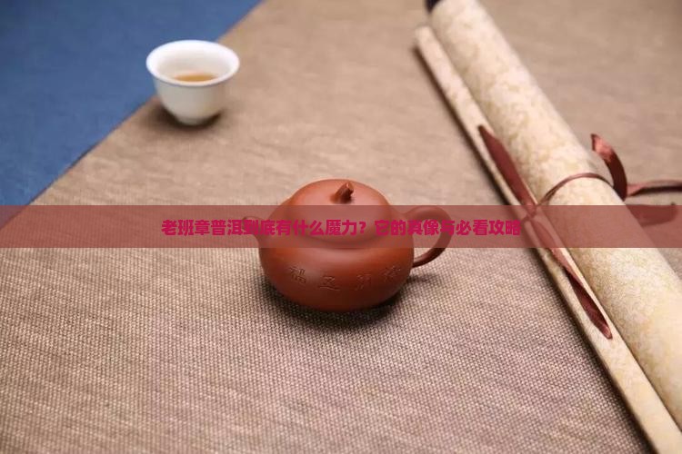 老班章普洱有什么特点