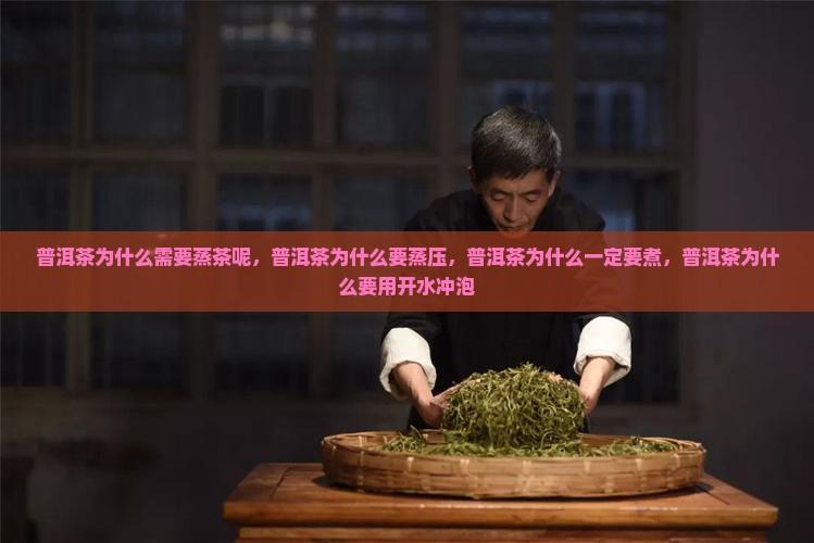 普洱茶为什么需要蒸茶呢