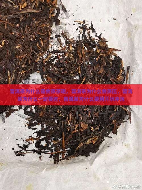 普洱茶为什么需要蒸茶呢