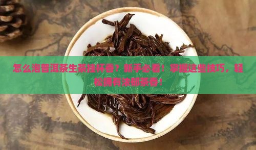 怎么泡普洱茶生茶挂杯香