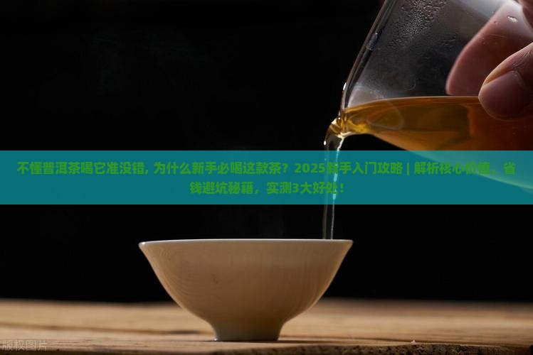 不懂普洱茶喝它准没错