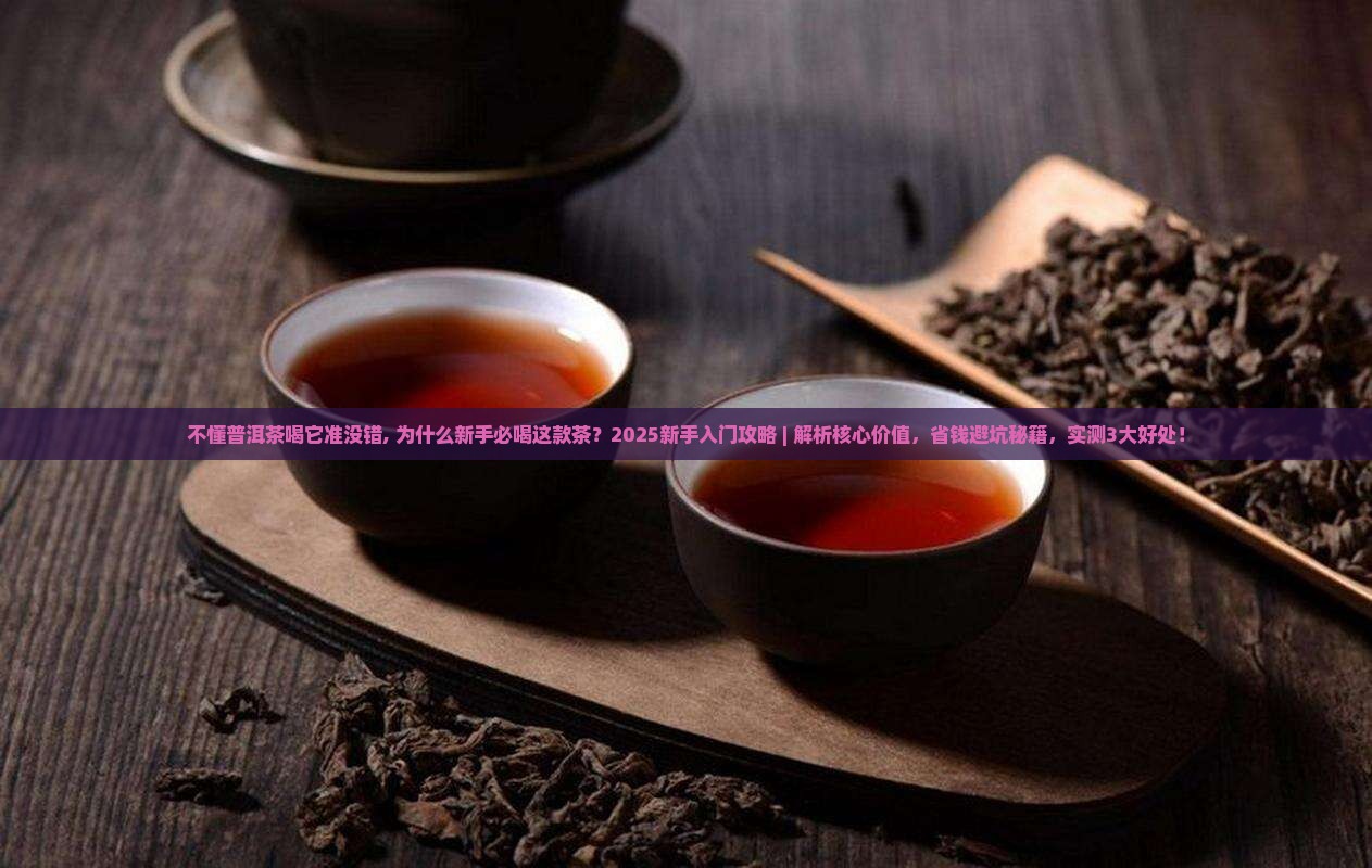 不懂普洱茶喝它准没错