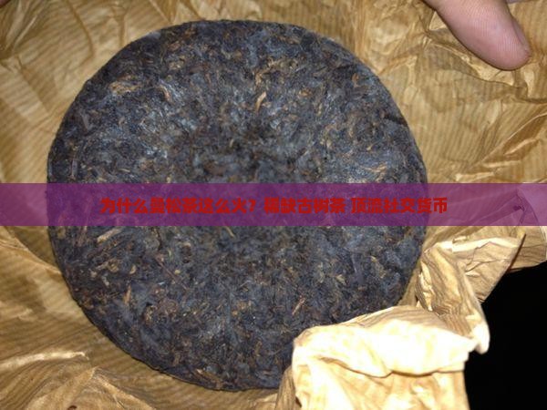 为什么曼松茶受欢迎