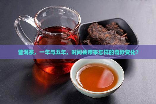 普洱茶一年和五年