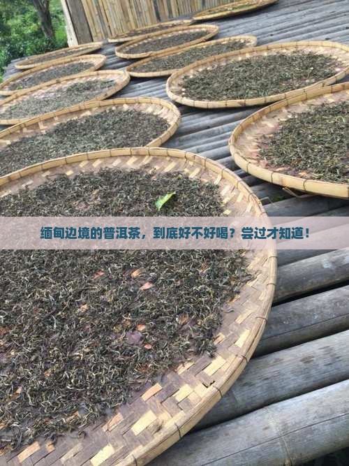 普洱茶产区缅甸部分