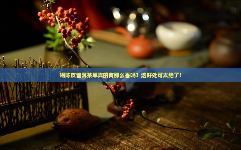 陈皮普洱茶萃有什么好处